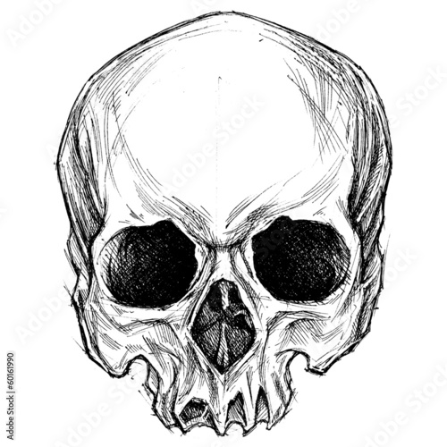 Skull drawing 01