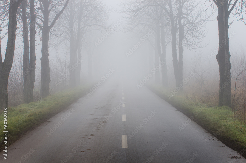 Road on foggy day