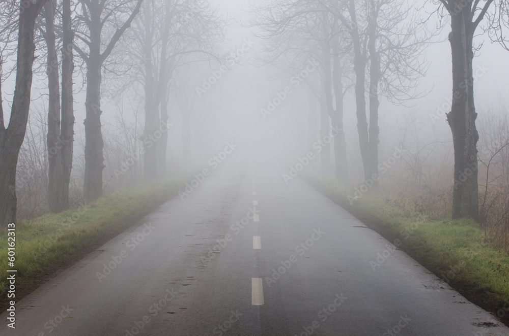 Road on foggy day Road on foggy day