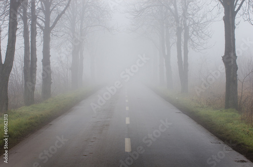 Road on foggy day