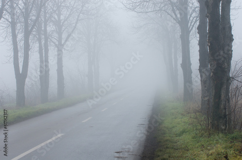 Road on foggy day