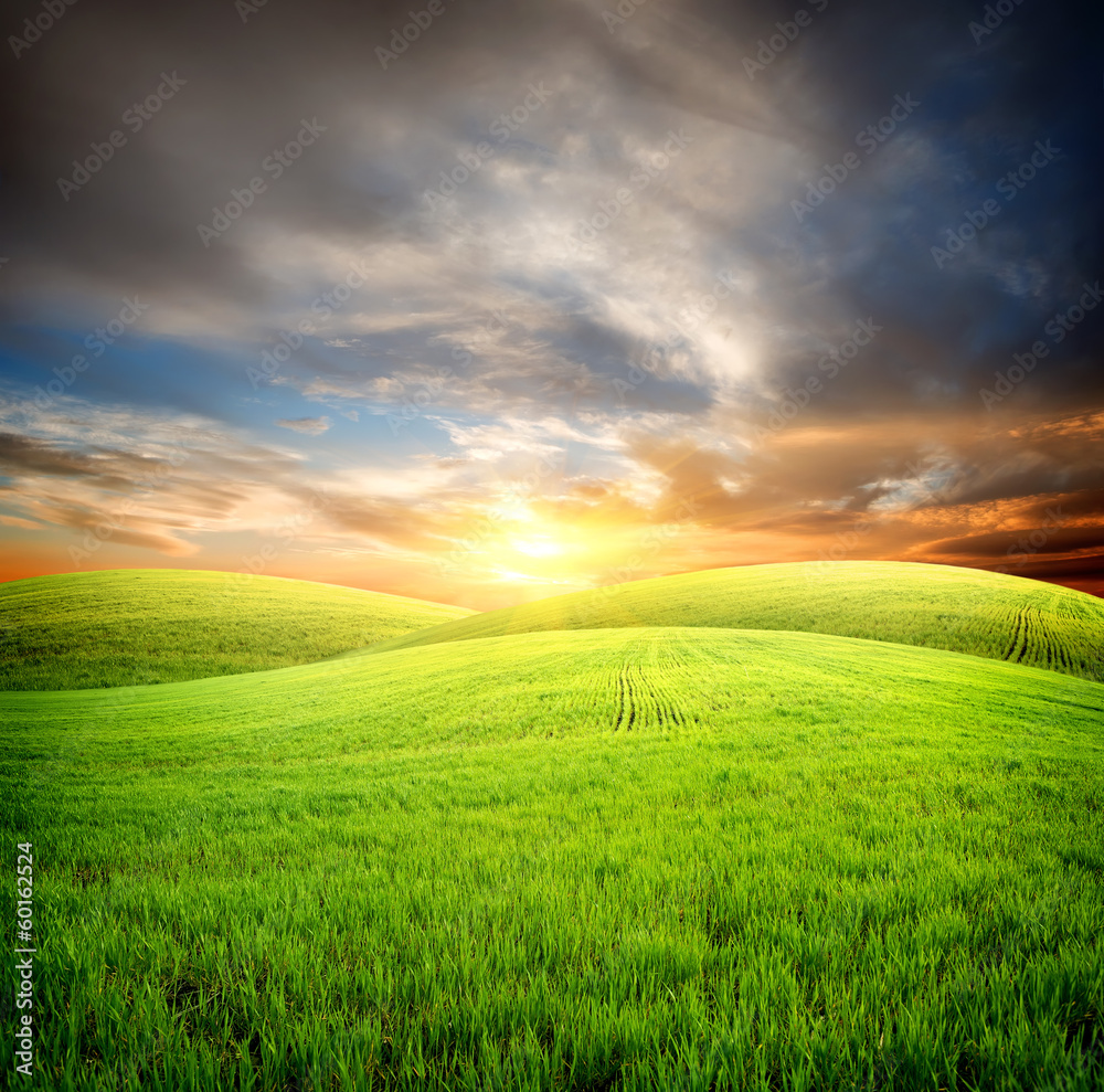 Obraz premium Field at sunset
