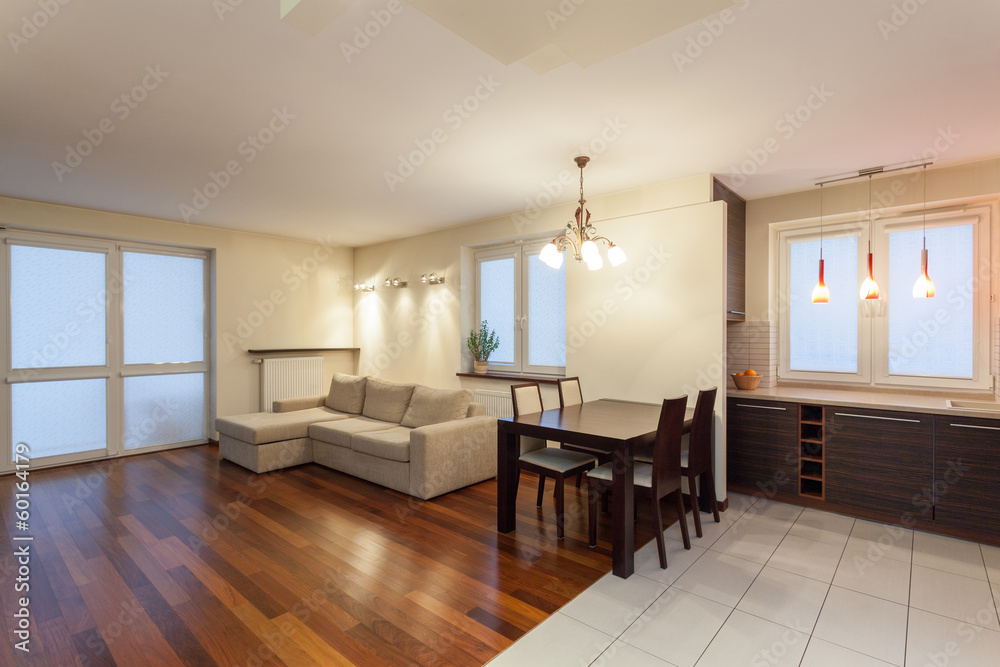Spacious apartment - living room Spacious apartment - living room