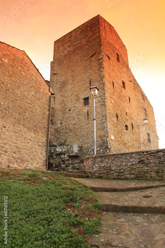 Vetulonia, cassero senese photo