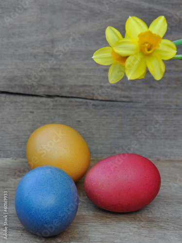 oeufs de Pâques et narcisse