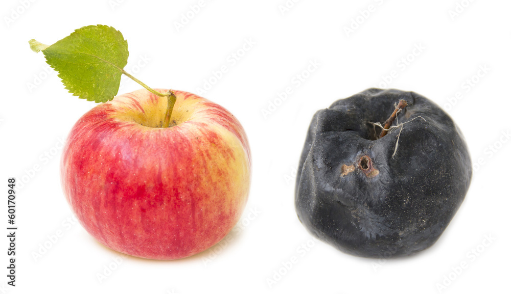 Fresh red apple and old rotten apple