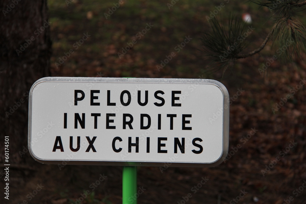 Fototapeta premium Interdit aux chiens