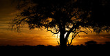 African sunset. Etosha National Park, Namibia