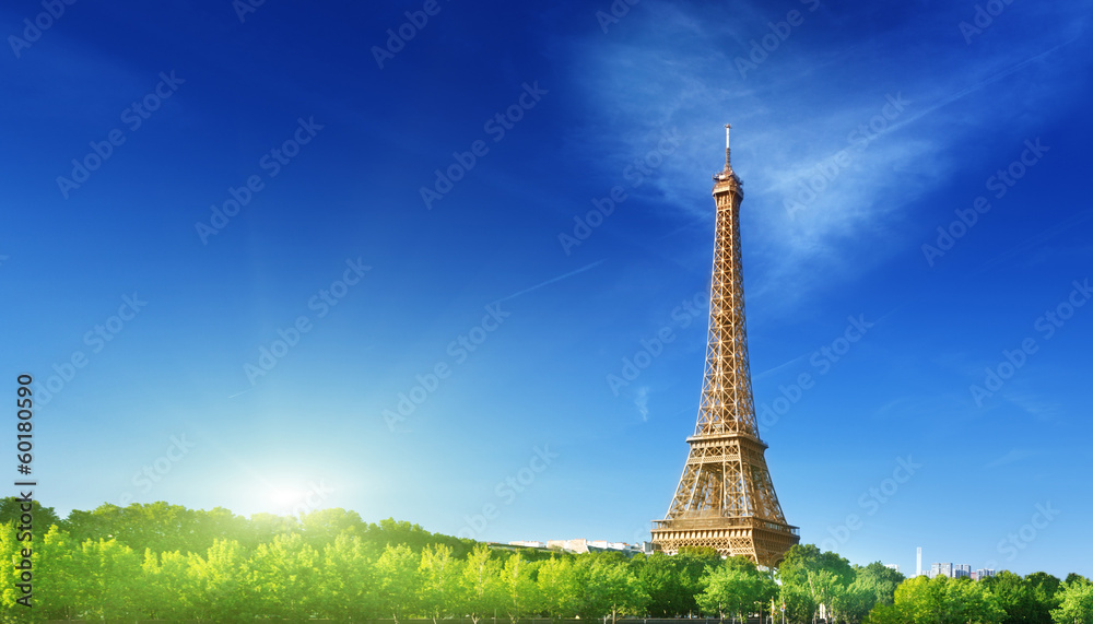 Photo & Art Print Eiffel tower in sunrise time Paris, France
