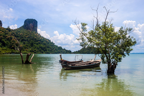 Mangroves and boats at Railay  Krabi province  Thailand