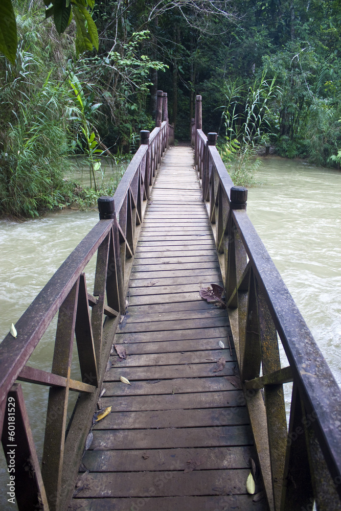 Bridge near Tat Kuang Si waterfall in Laos