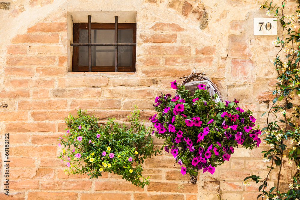 Tuscan flowers