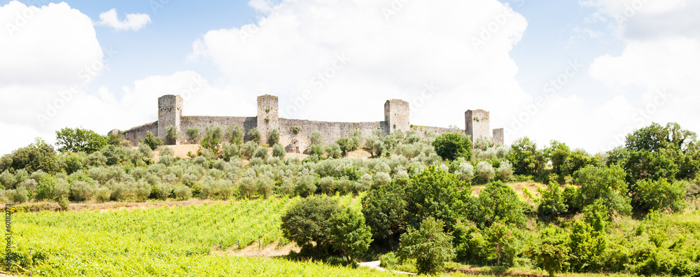 Wineyard in Tuscany