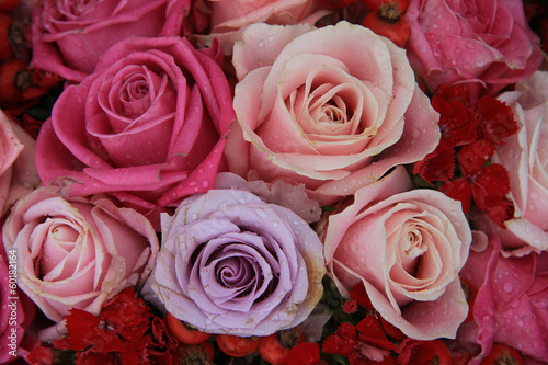 Bridal roses in pink and purple
