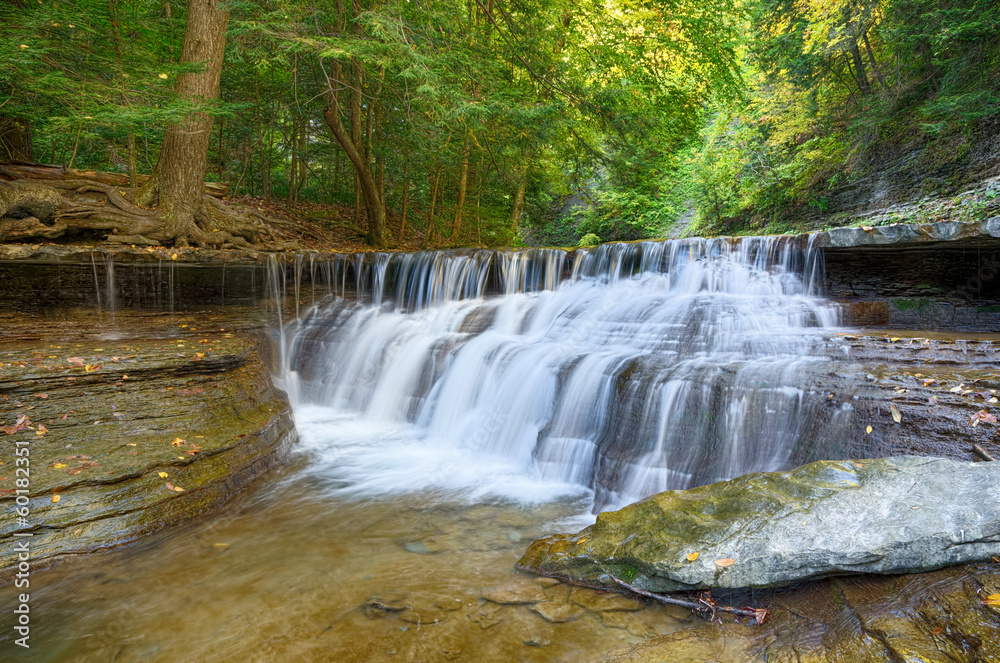 Obraz premium Waterfall in Autumn