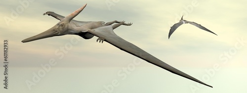 Pteranodon dinosaurs flying - 3D render photo