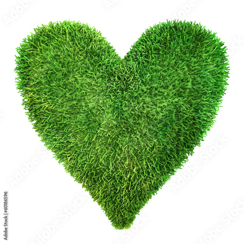 Heart made of grass