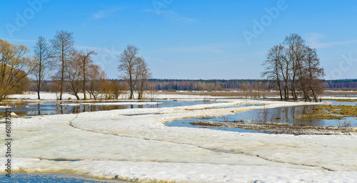 Spring scene. Sukhodrev river, Kaluga region, Russia