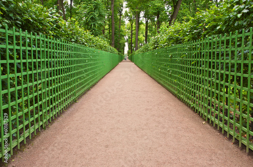 The Summer Garden (Letniy sad) in Saint Petersburg, Russia photo