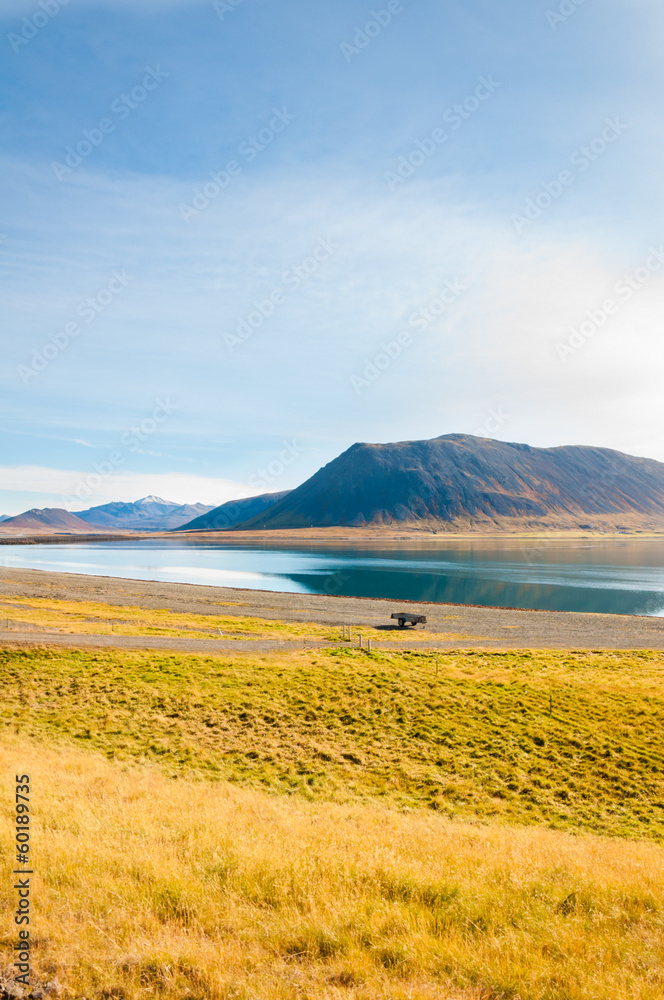 Fototapeta Icelandic landscape