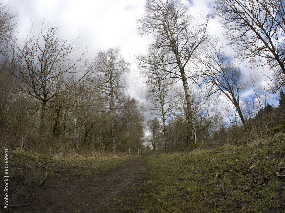 Nagshead RSPB Reserve, Gloucestershire Nagshead RSPB Reserve, Gloucestershire