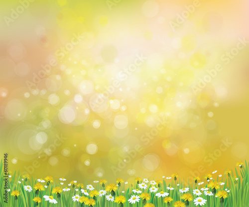 Vector nature spring background with chamomile and dandelion.
