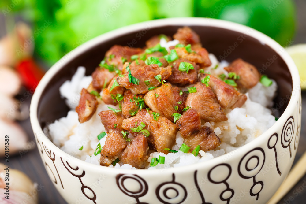 Bowl of rice with meat Bowl of rice with meat