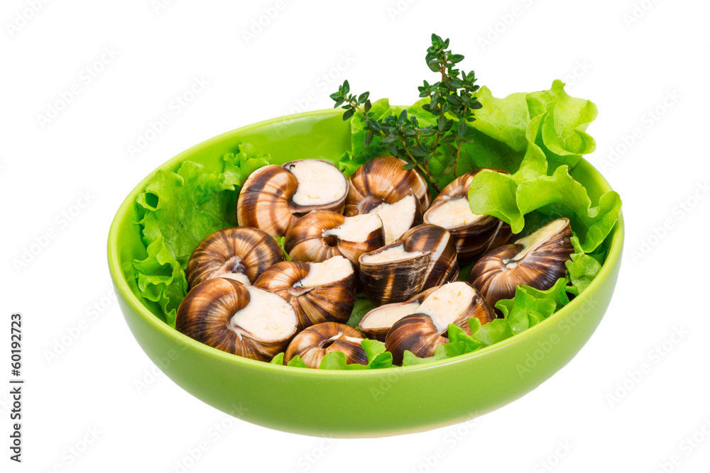 Escargot Escargot