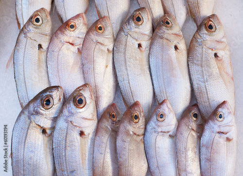 Fish for sale on market