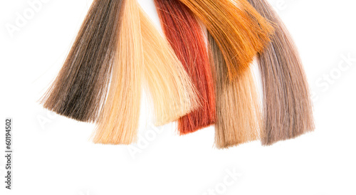 Palette samples of dyed hair. © yevgeniy11