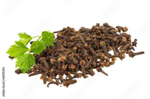 Wallpaper Mural Carnation Torontodigital.ca