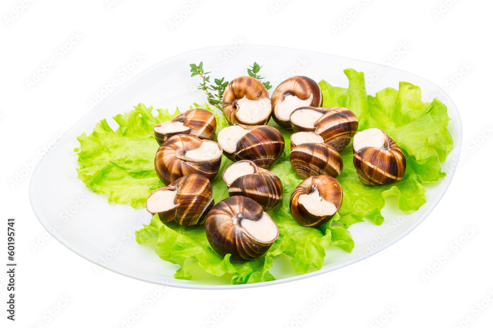 Escargot Escargot