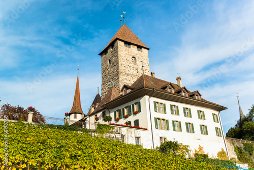 Spiez Castle Jungfrau region, Canton Bern, Switzerland