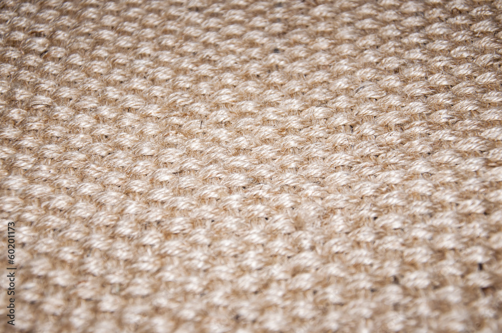 Texture Texture