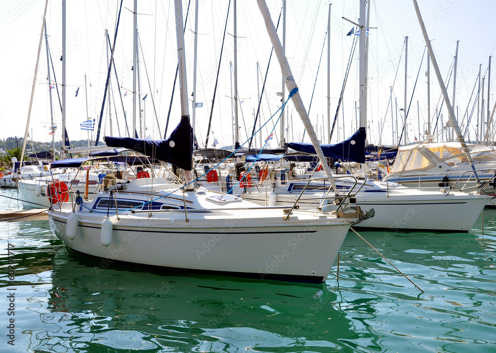 yachts in the harbor