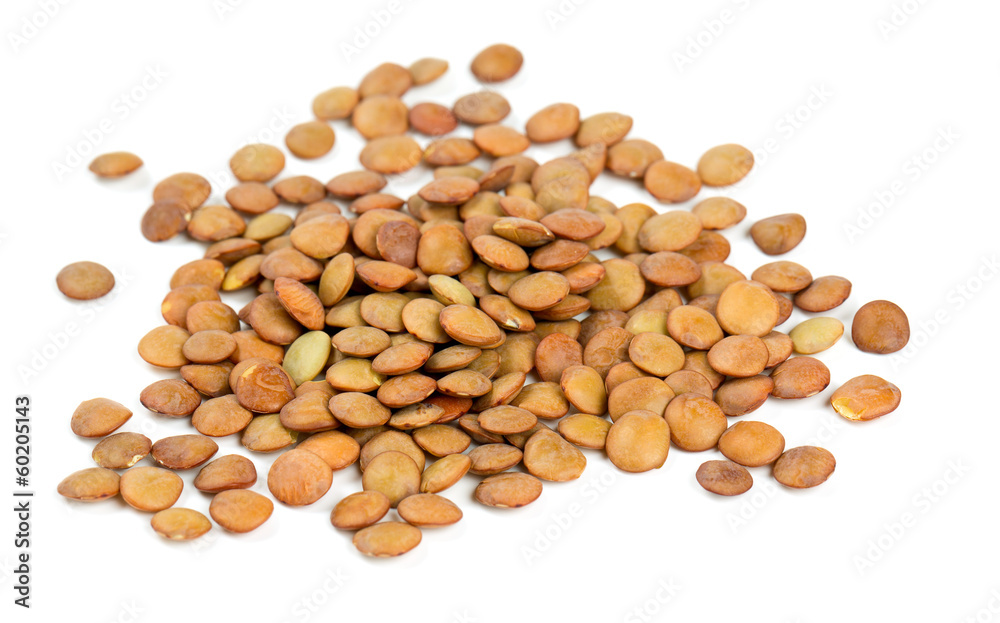 brown lentils isolated on white brown lentils isolated on white
