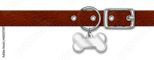Photography Brown Leather Collar With Tag