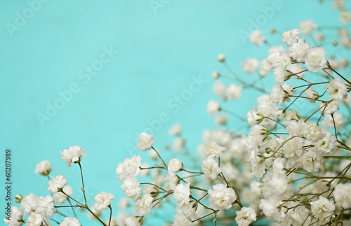 White flowers on blue backg...