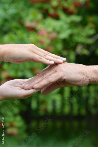 Elderly couple holding hands © aletia2011