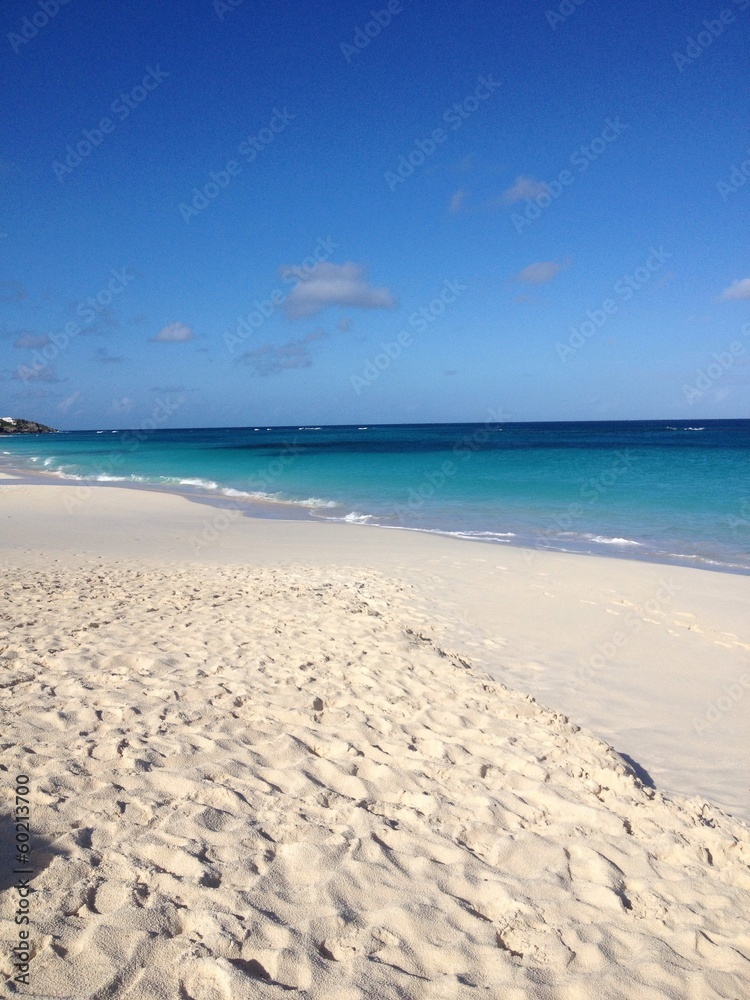 Obraz premium island