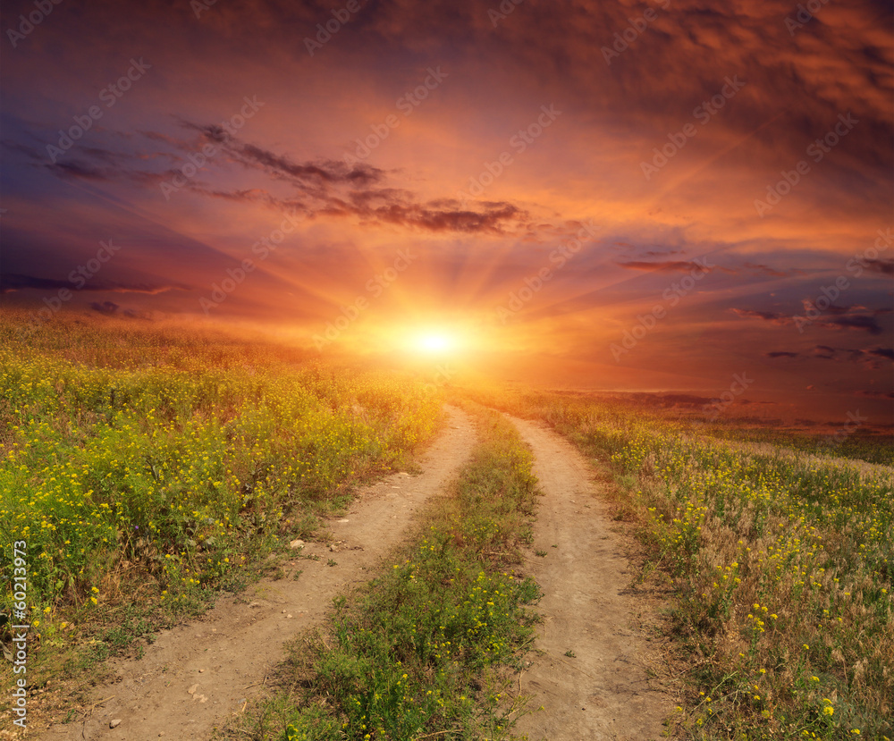 road in steppe on sunset