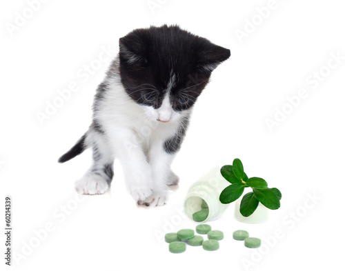 Photography kitten and vitamins