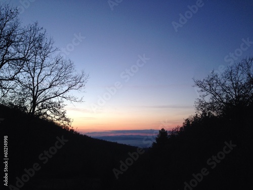 nebbia in toscana