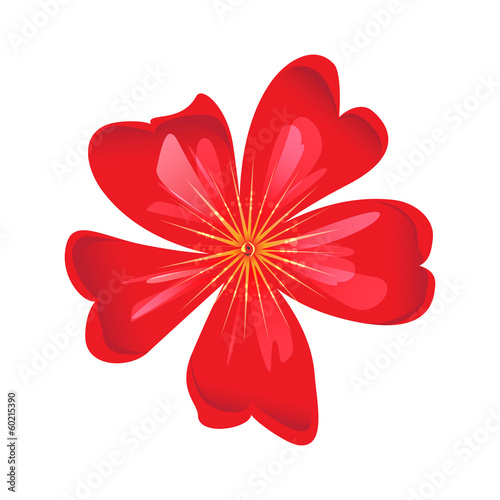 Fototapeta Naklejka Na Ścianę i Meble -  red flower