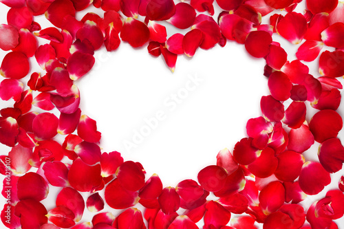 Fototapeta Naklejka Na Ścianę i Meble -  rose petals with place for text