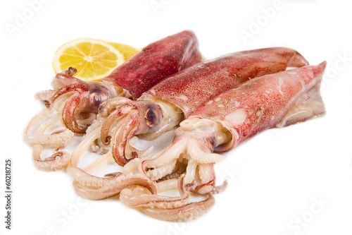 Konstfotografi calamari freschi