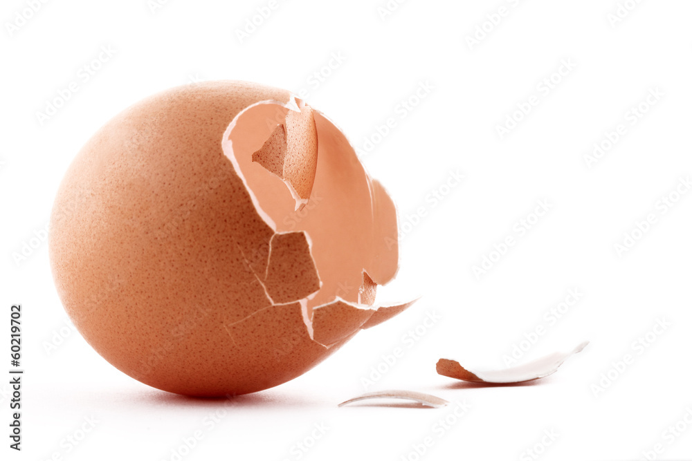 Broken egg. Isolated on white background.