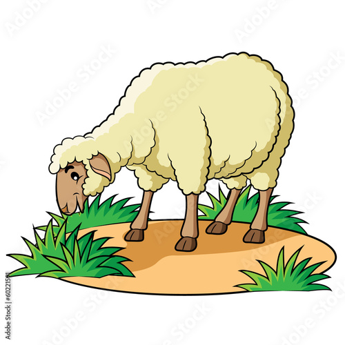Sheep Cartoon