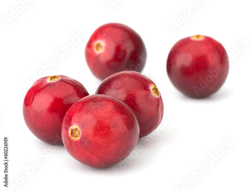 Cranberry isolated on white background closeup