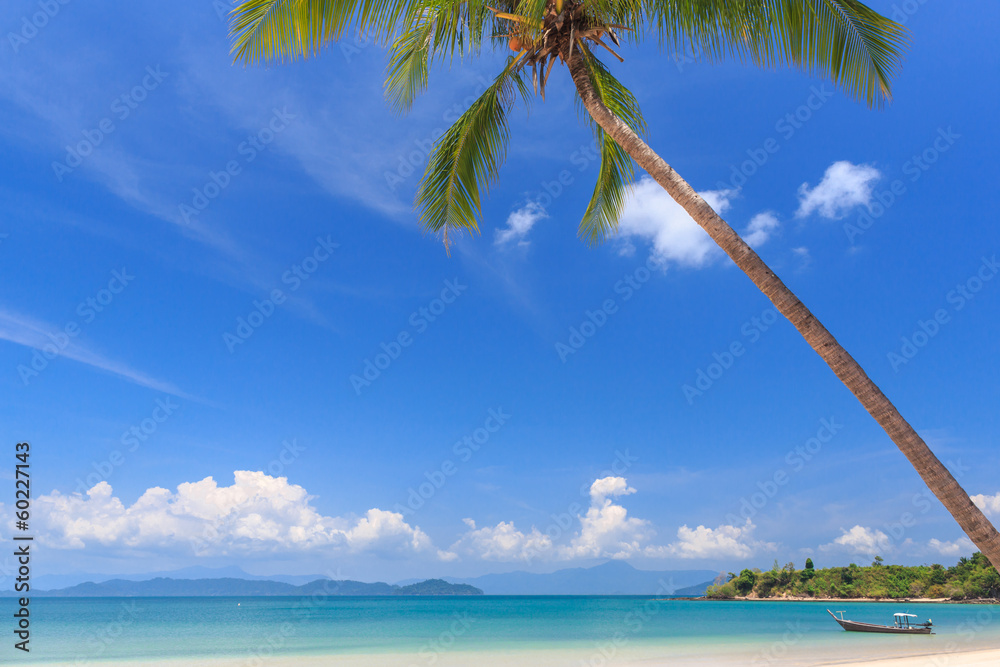 Naklejka premium White sand beach at tropical island